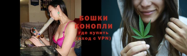 МДПВ Бронницы