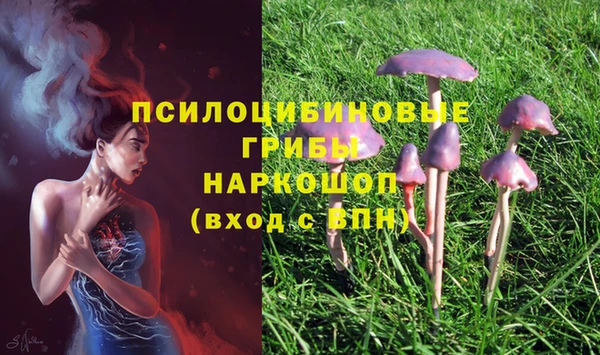 МДПВ Бронницы