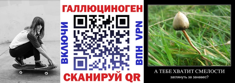 купить наркотик  Кашира  kraken рабочий сайт  Галлюциногенные грибы MAGIC MUSHROOMS 